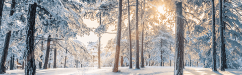 How to Tackle Dry Skin This Winter