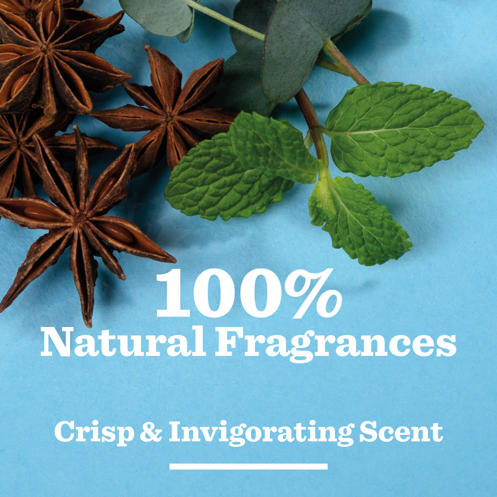 Peppermint & Eucalyptus Shower Gel features star anise, mint leaves, and eucalyptus on a blue background, with 100% Natural Fragrances Crisp & Invigorating Scent in white—perfect for an energizing men’s shower experience.